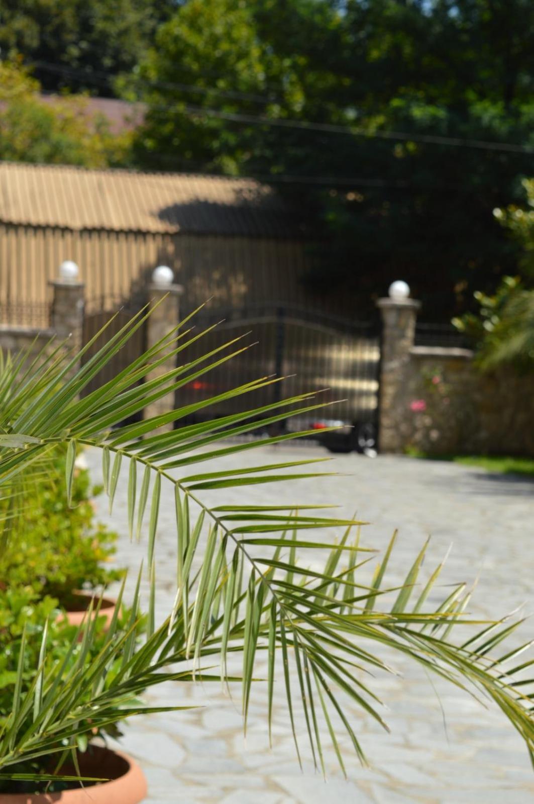Boutique Hotel Argo Kutaisi Luaran gambar