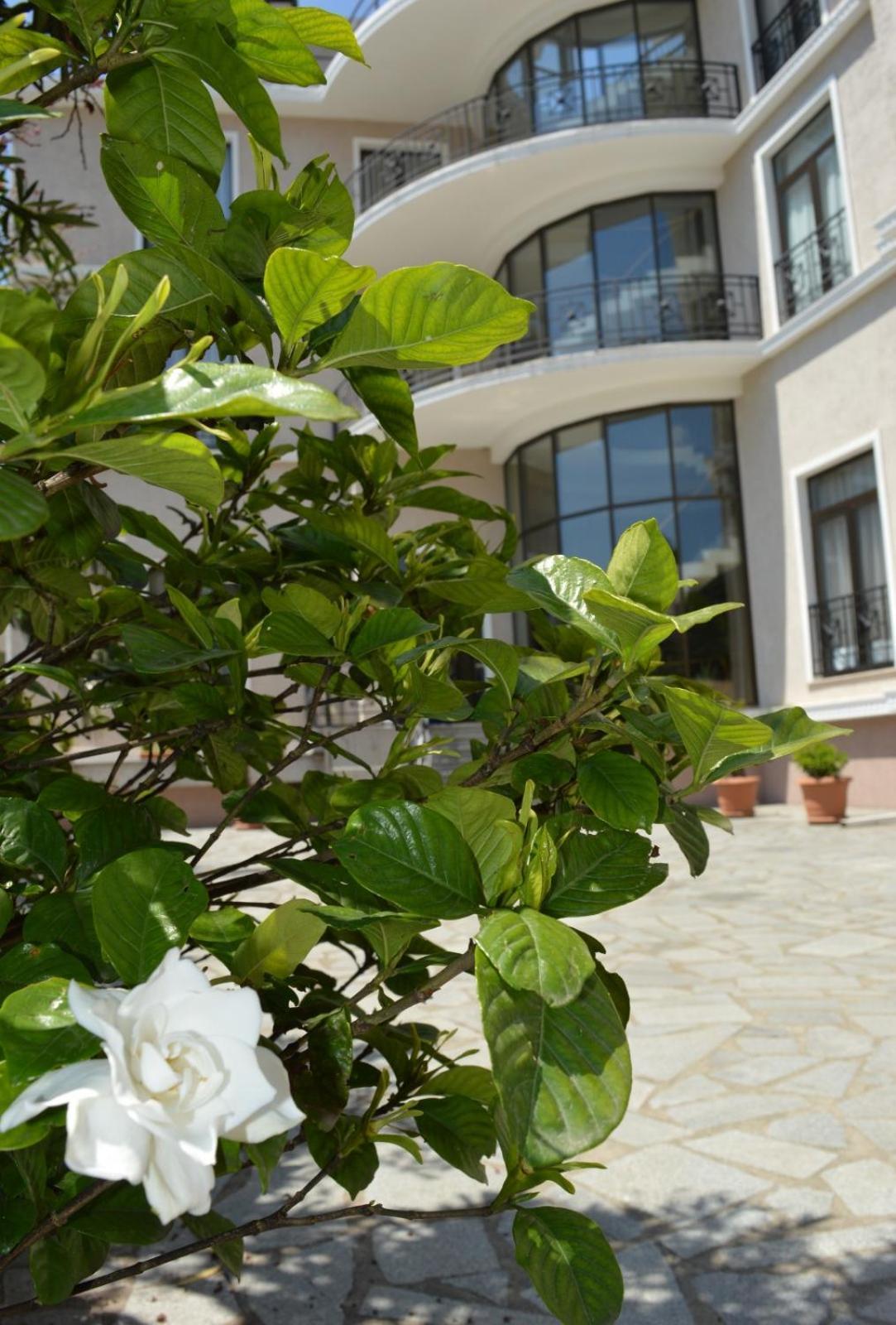 Boutique Hotel Argo Kutaisi Luaran gambar